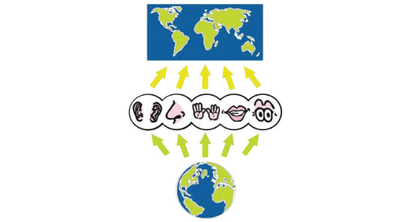 https://world-of-nlp.org/assets/img/grafiken/ebooks/entdecke-die-welt-des-nlp-3.png