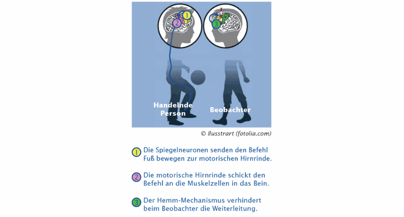 https://world-of-nlp.org/assets/img/grafiken/ebooks/entdecke-die-welt-des-nlp-6.png