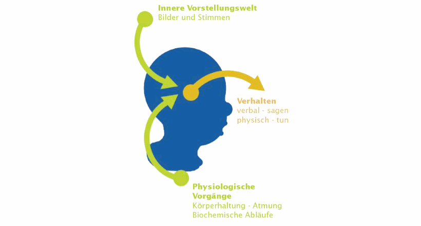 https://world-of-nlp.org/assets/img/grafiken/ebooks/entdecke-die-welt-des-nlp-8.png